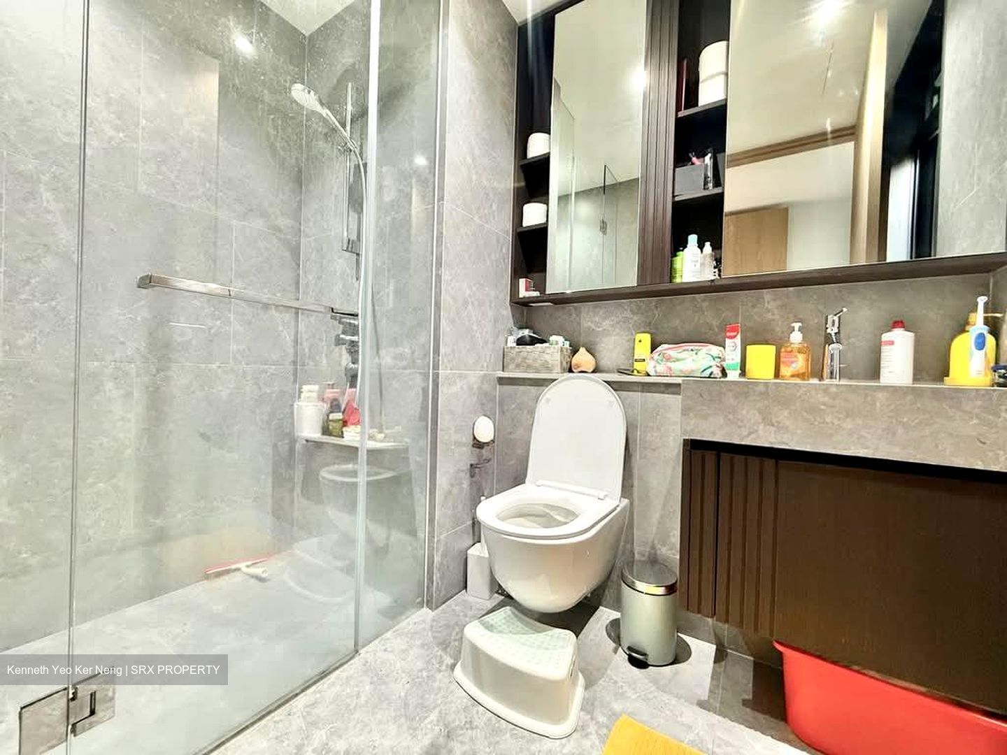 KI Residences at Brookvale (D21), Condominium #605481101